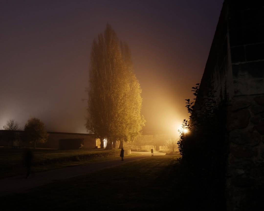 Alex Cretey Systermans