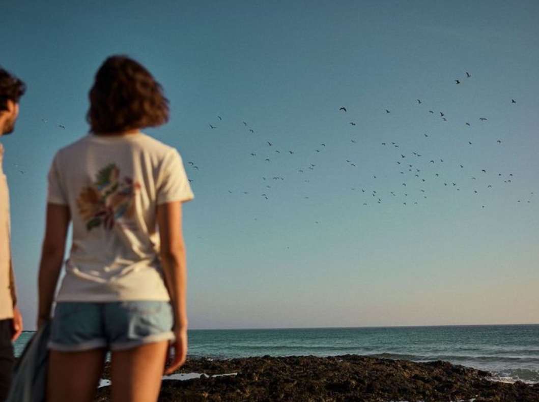 Beetle Rhind Nov. 25