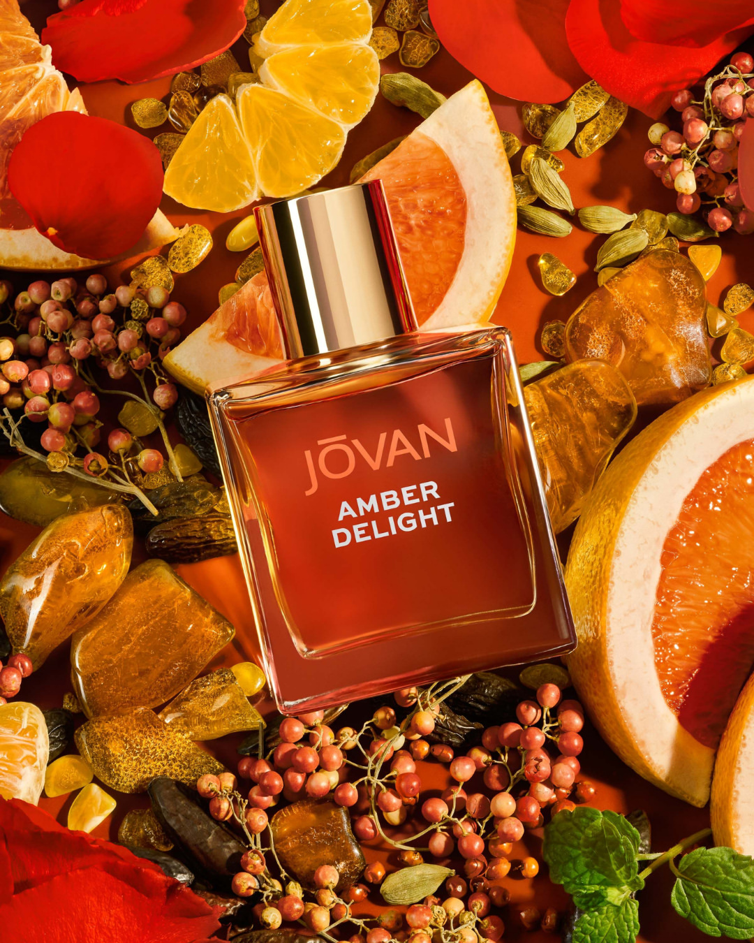 Nocera&Ferri Dec. 25