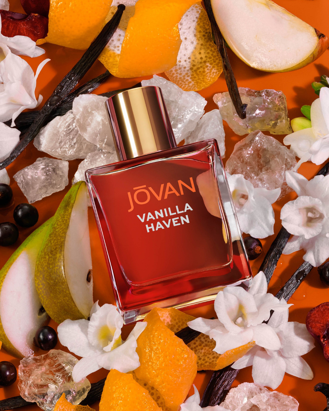 Nocera&Ferri Dec. 25