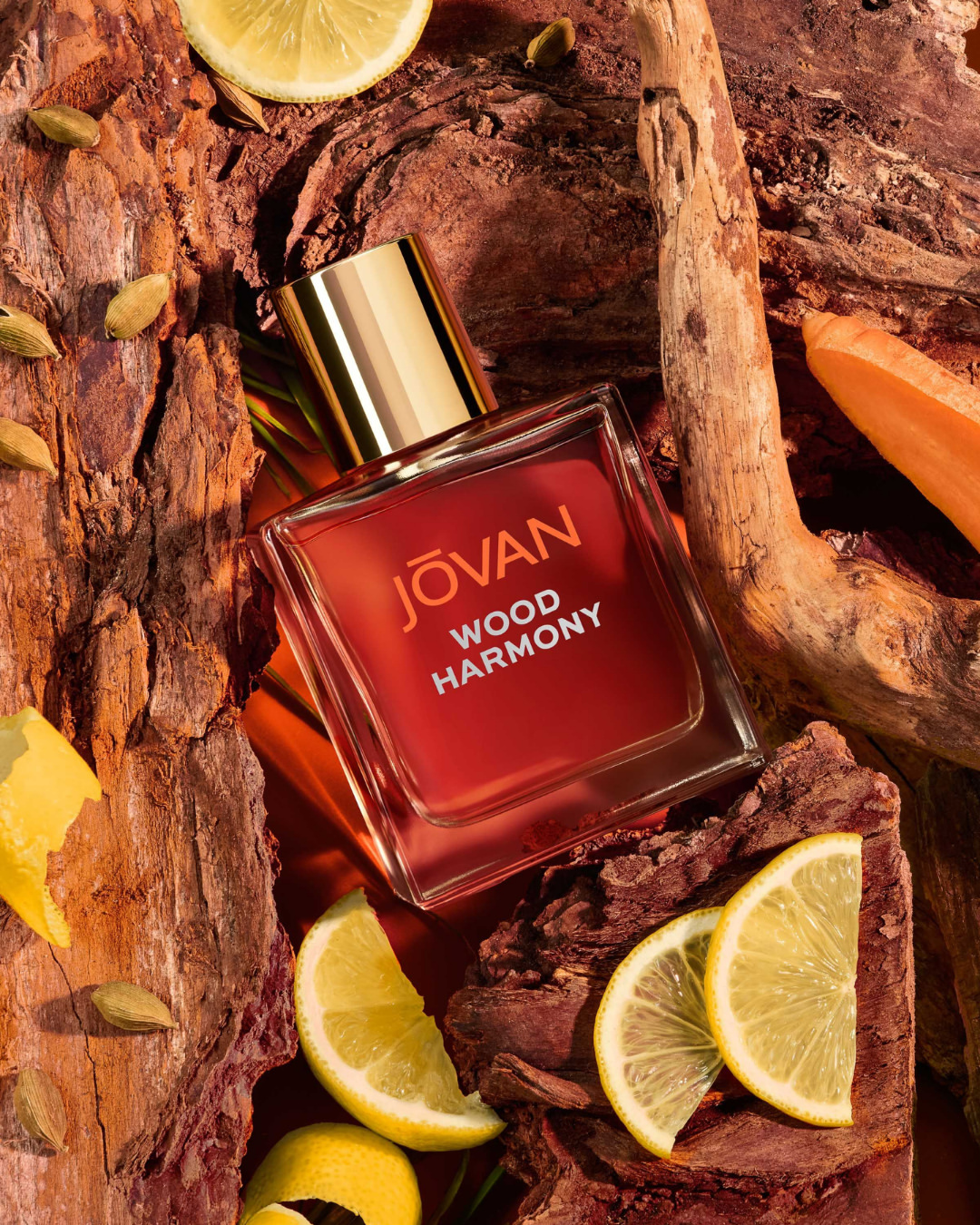 MONDAY REPORT NE 12/08/25