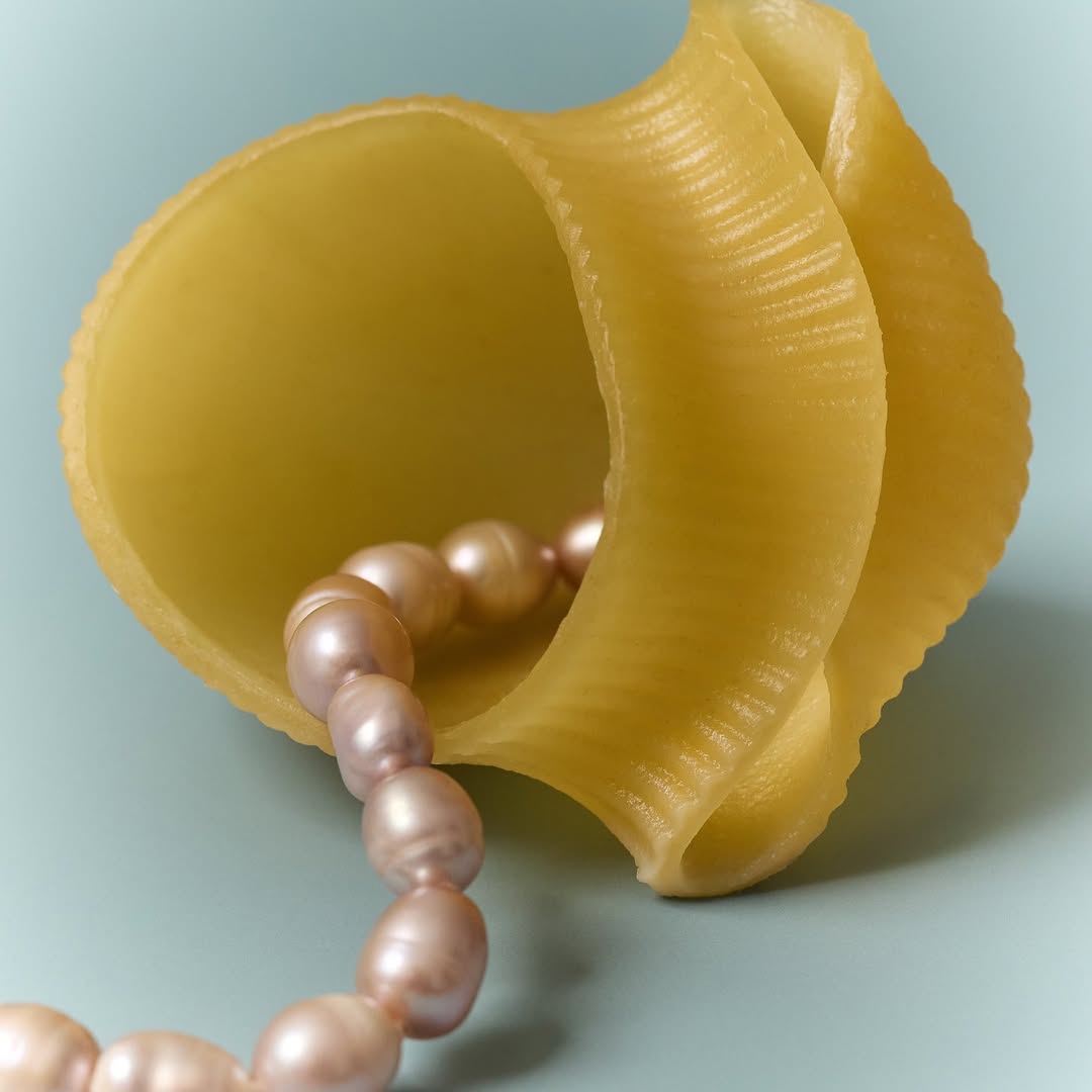 Nocera&Ferri Jan. 26