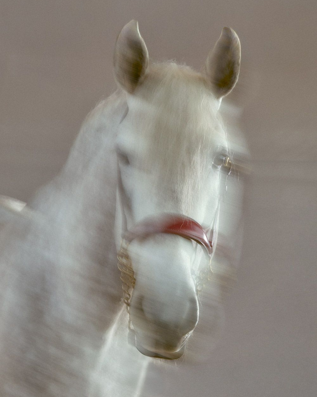 Patek Philippe |  Feb. 26