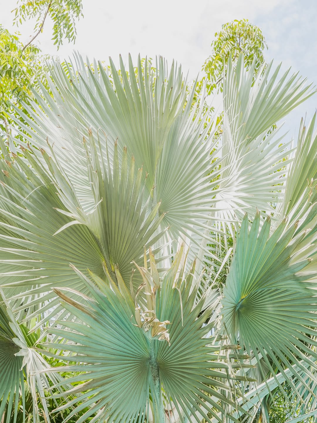 Conde Nast Traveller |  Mar. 26