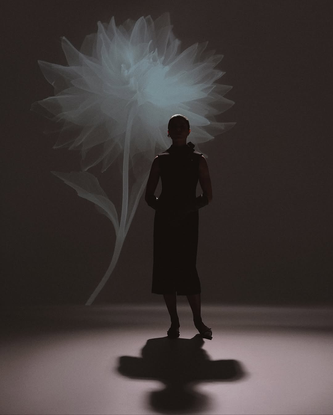 Synchrodogs X INLYLAND Oct. 25