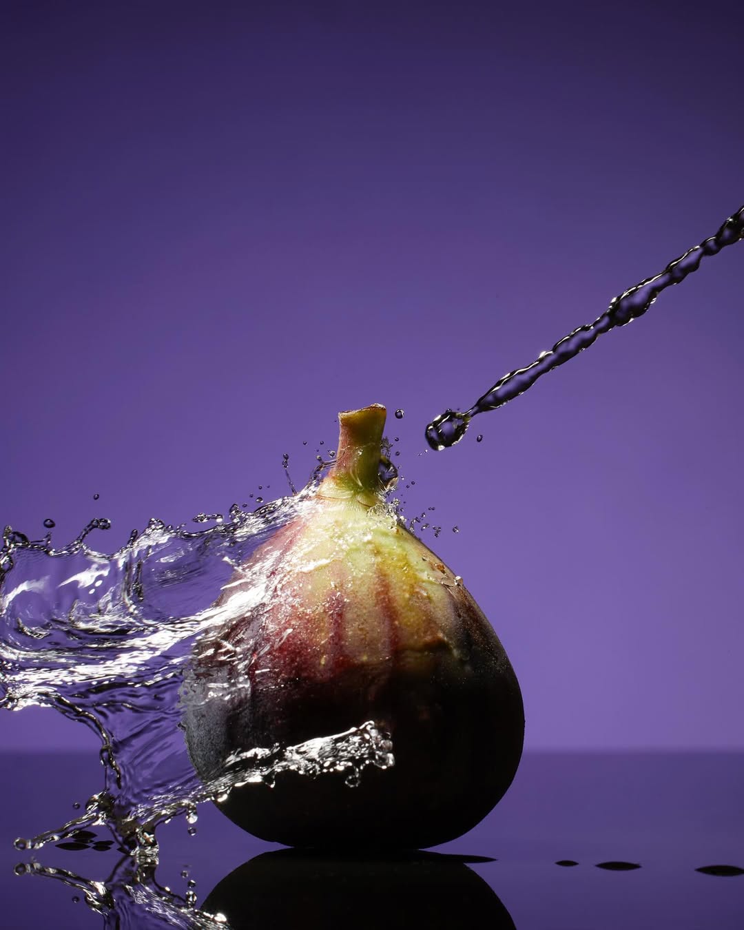 Tara DiGiovanni Nov. 25