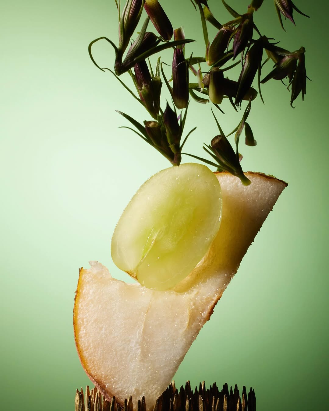 Tara DiGiovanni Feb. 26