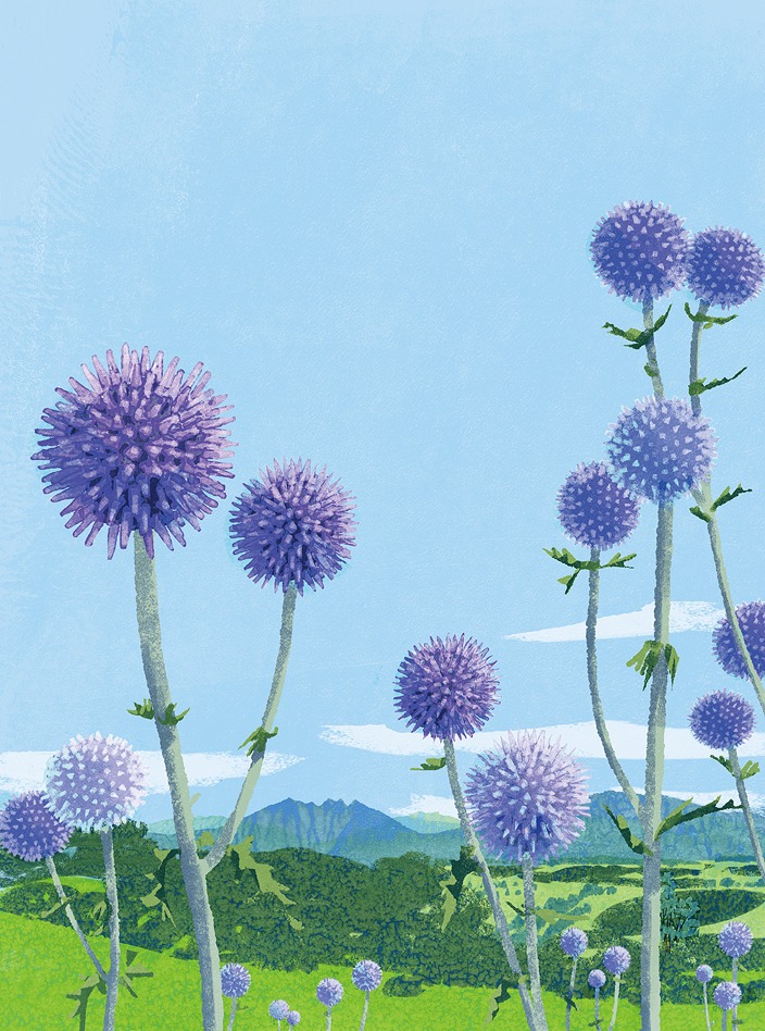 Tatsuro Kiuchi Feb. 26