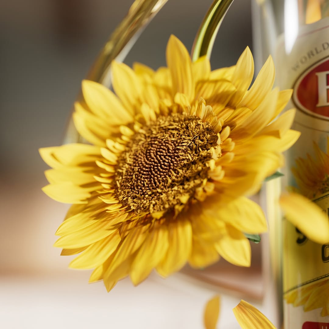 Tavo Studio X Bertolli Aug. 26