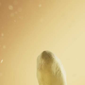 Solo Nuts |  Aug. 26
