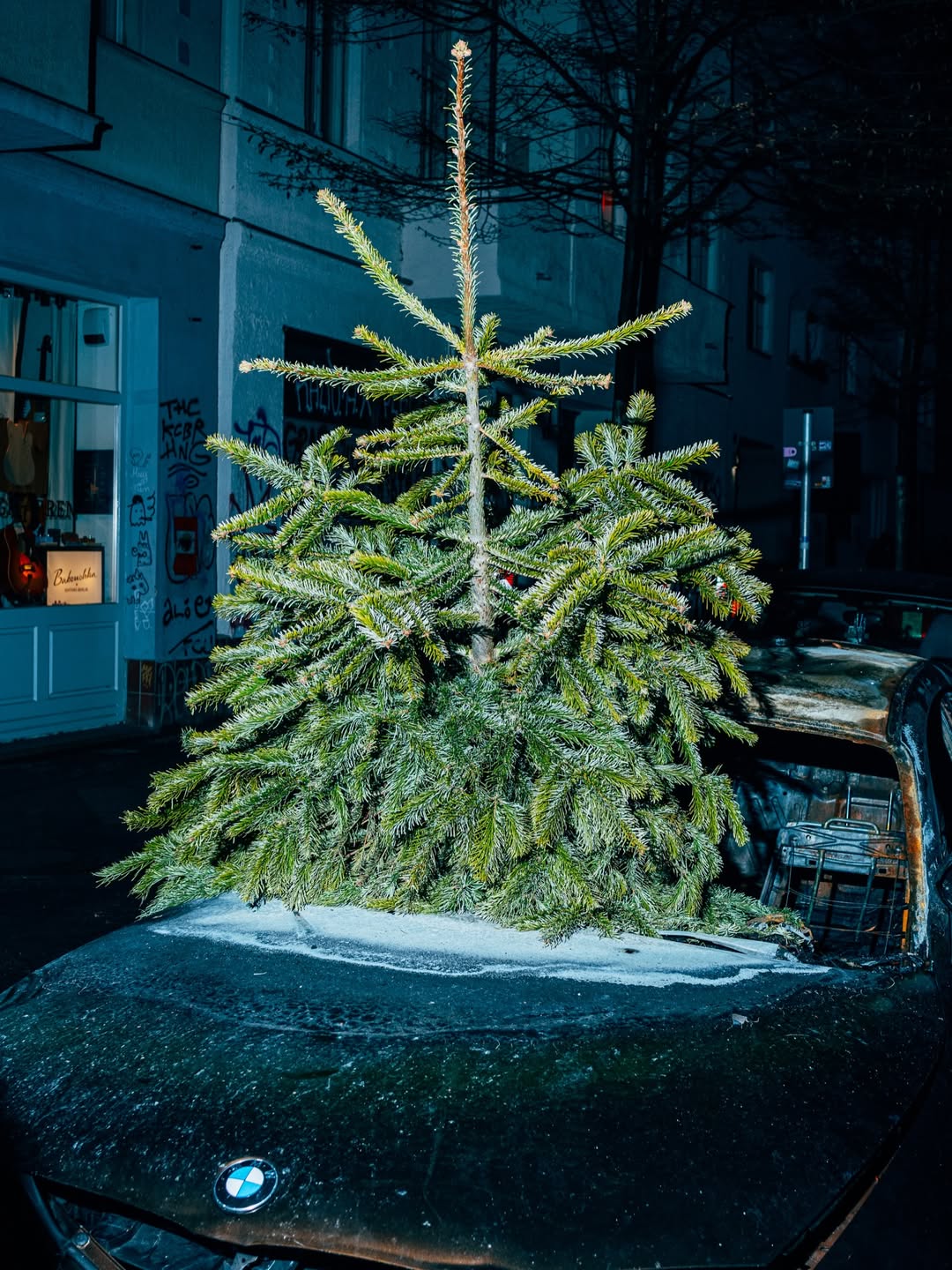 Nikita Teryoshin Jan. 26