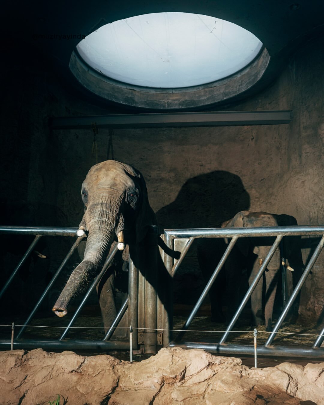 Nikita Teryoshin Jan. 26