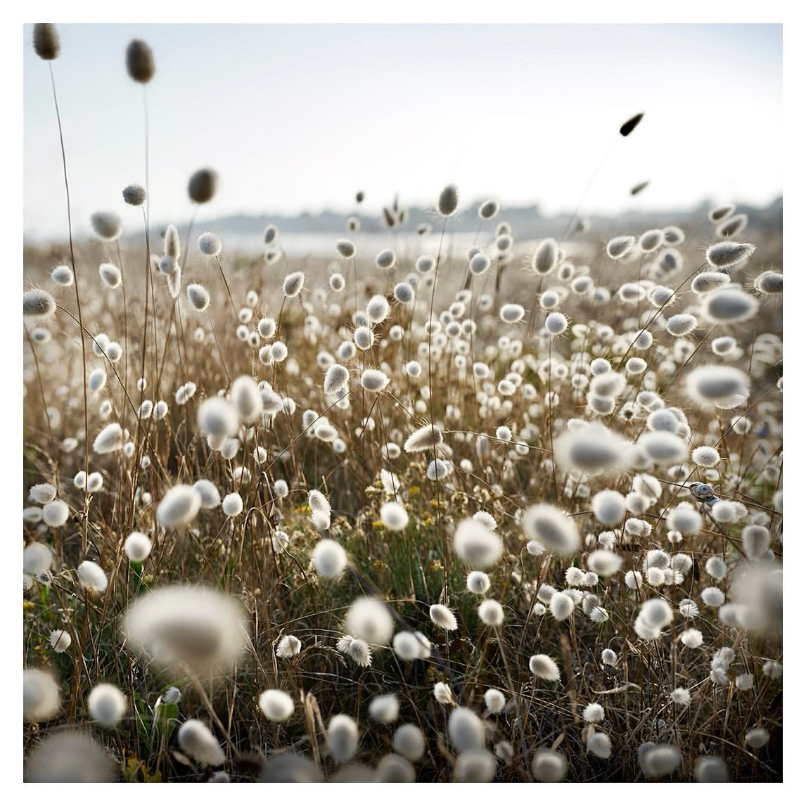 Stéphanie Tétu Sep. 25