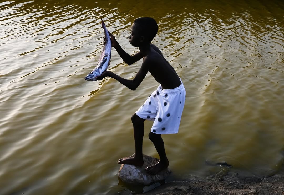 Nana Yaw Oduro May. 25