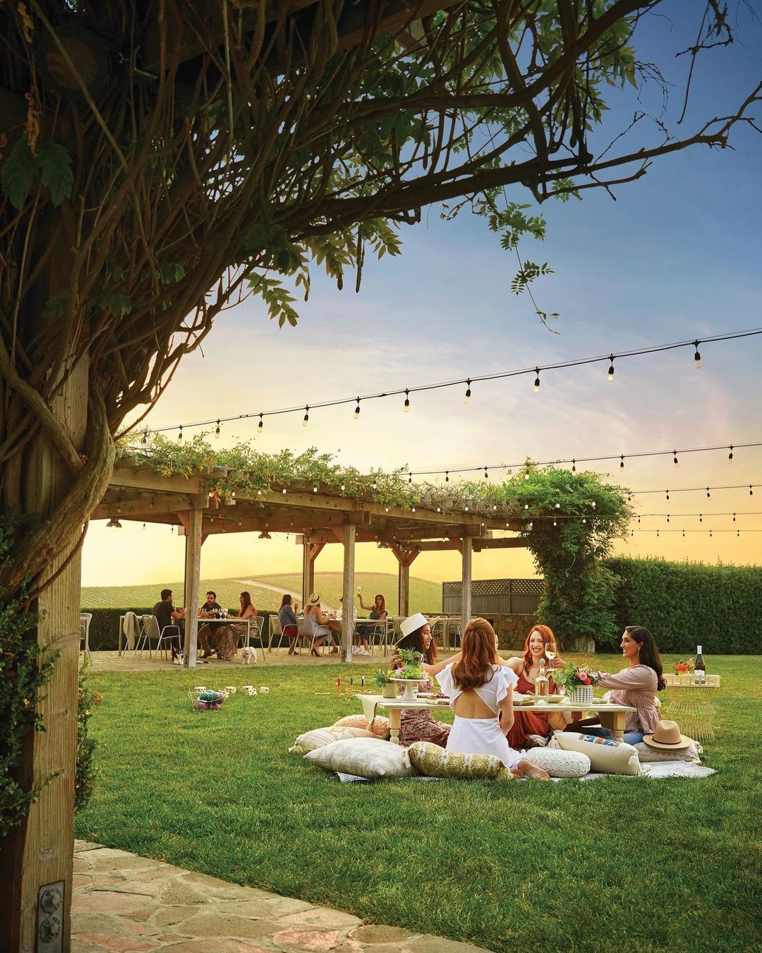 Visit Napa Valley |  Mar. 23