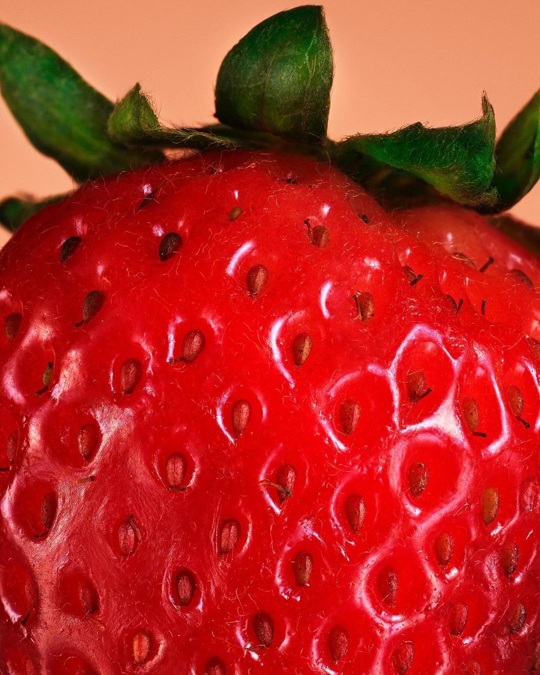 Spindrift |  Jan. 24