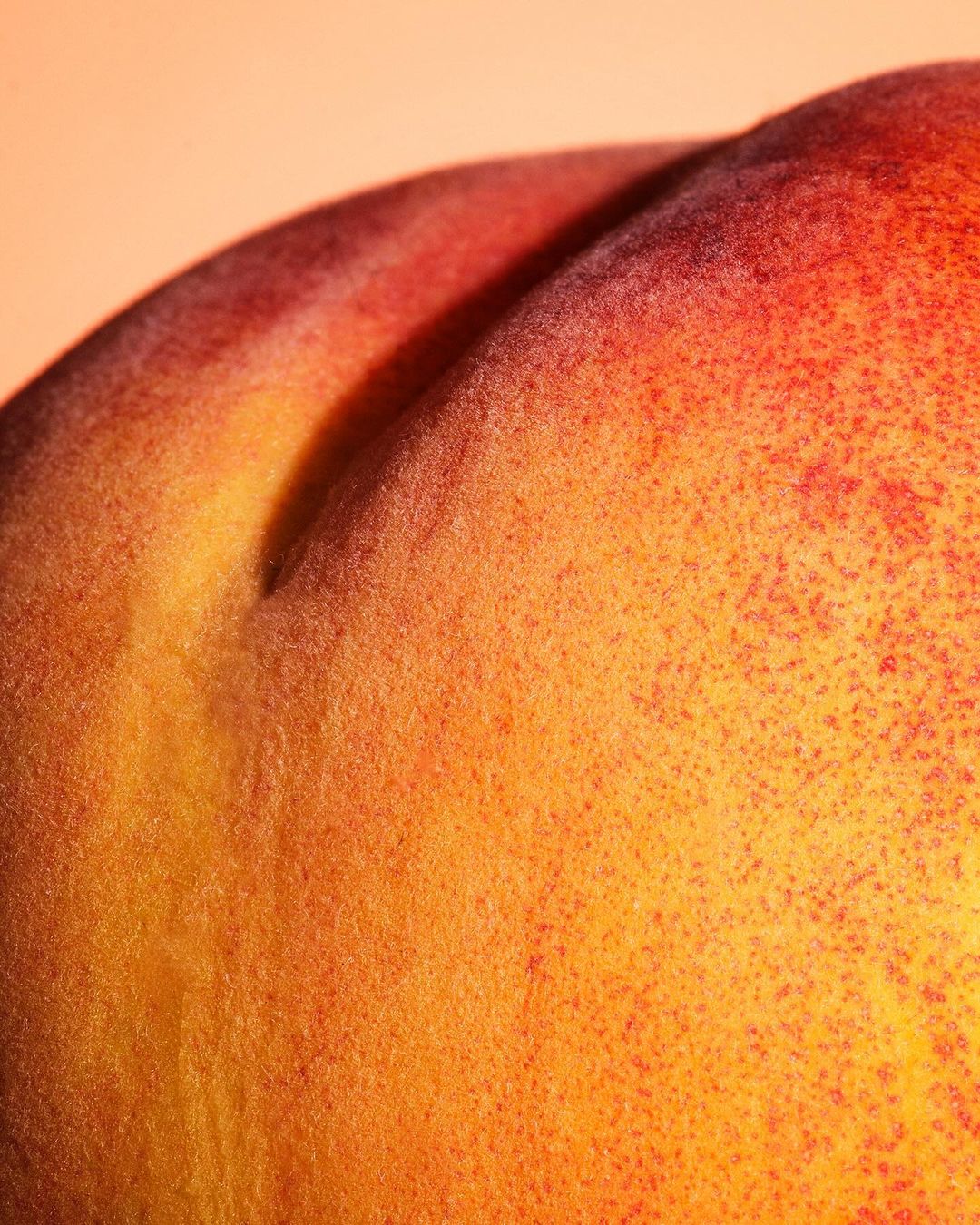 Spindrift |  Jan. 24