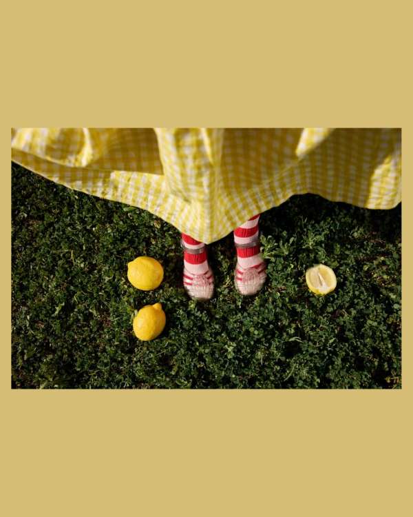 Robyn Breen Shinn