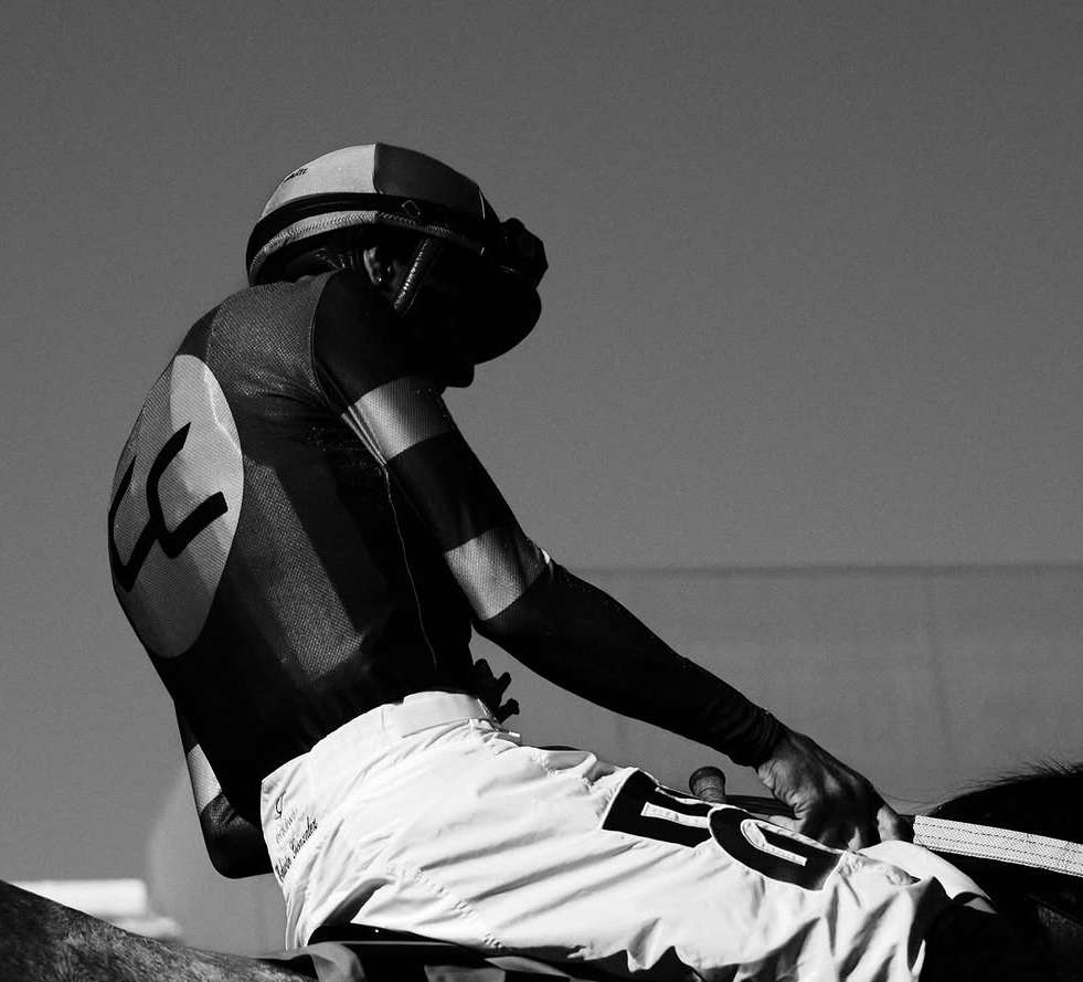 Julien James X Santa Anita Park