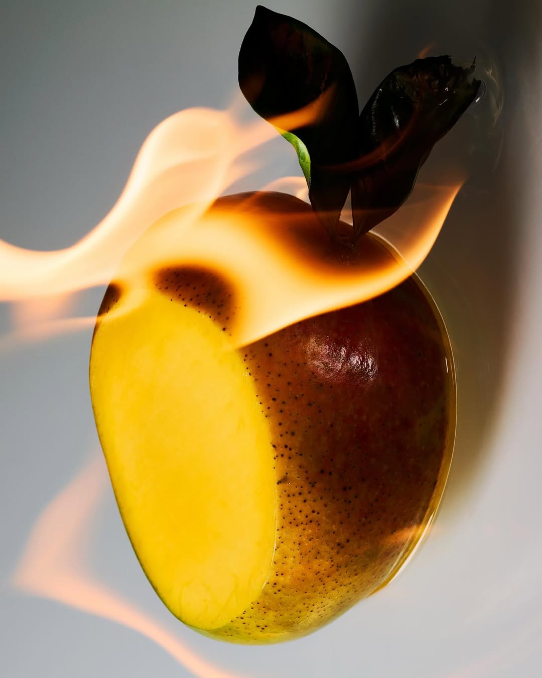 Dylan Nelson X Bloom