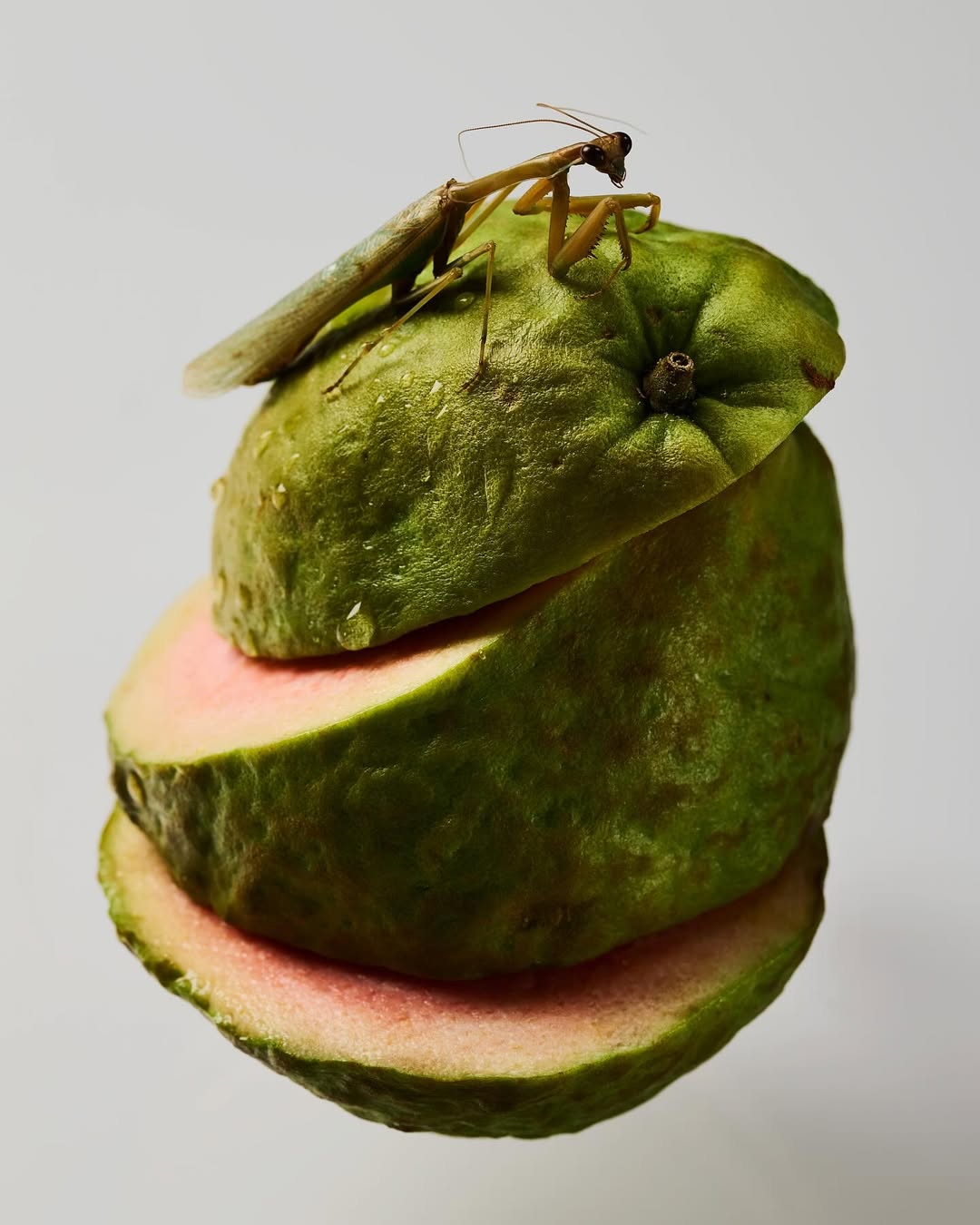 Dylan Nelson X Bloom Sep. 25