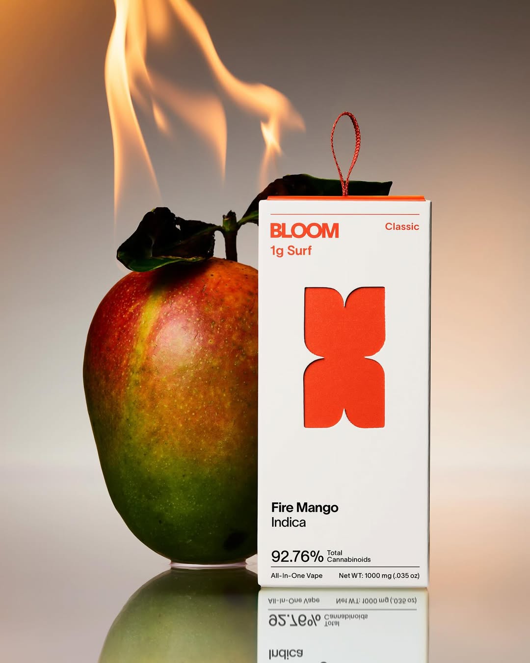 Dylan Nelson X Bloom Oct. 25