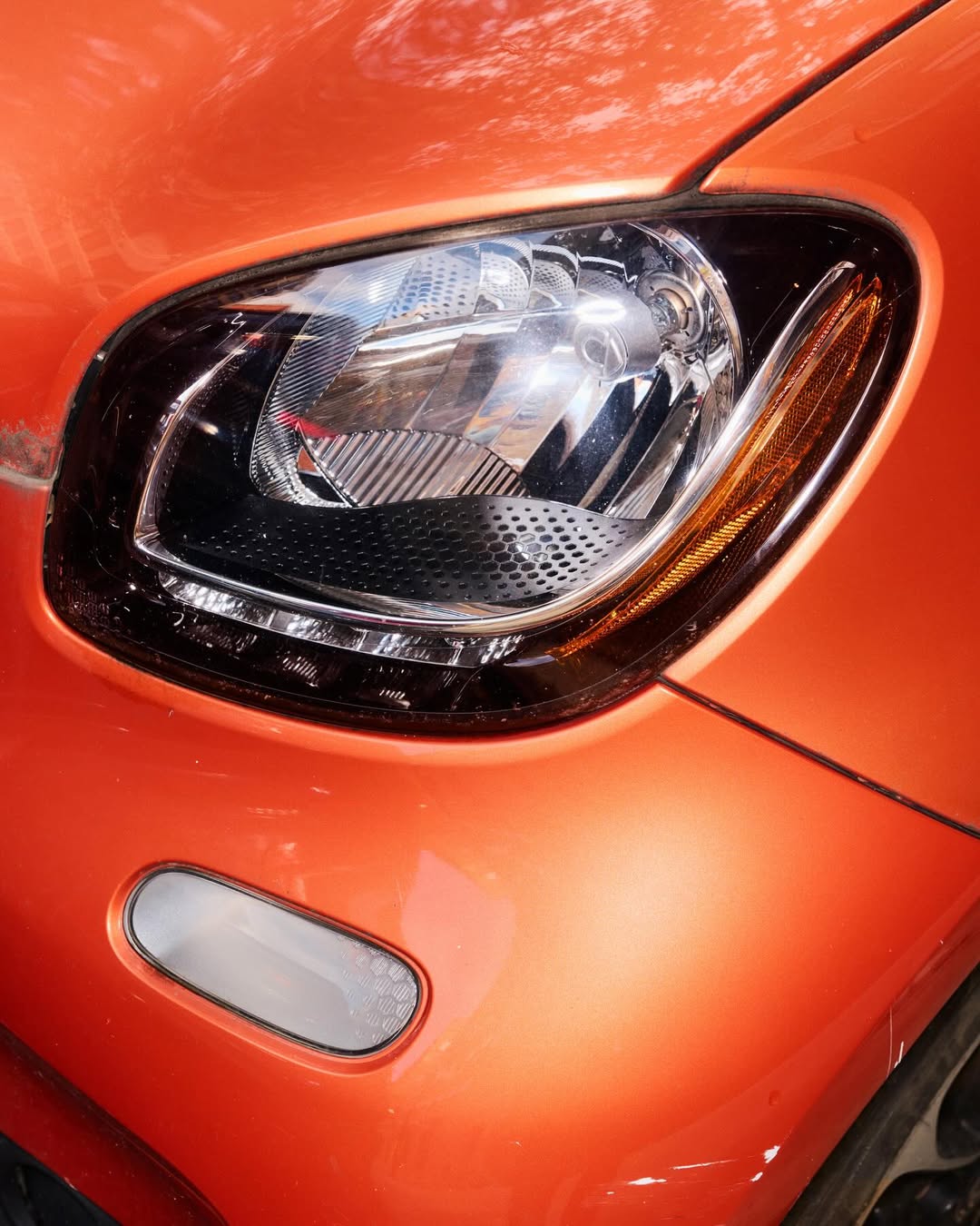 Dylan Nelson Nov. 25