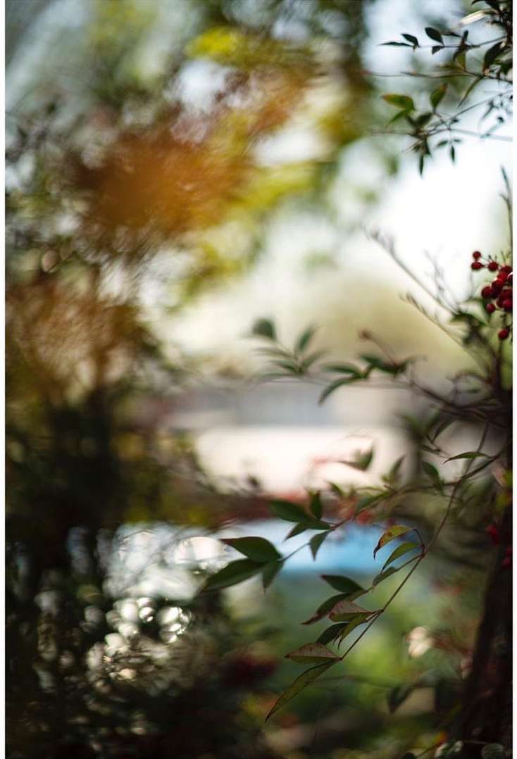 Galerie Miranda |  Nov. 23