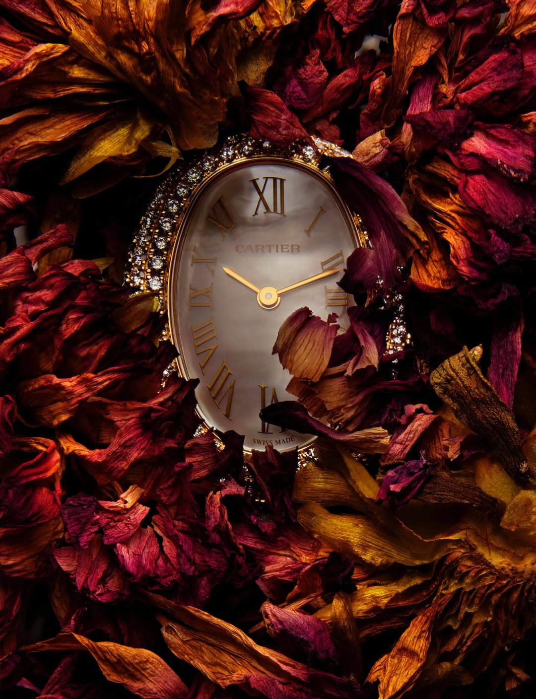 Guido Mocafico X Numero Magazine Dec. 25