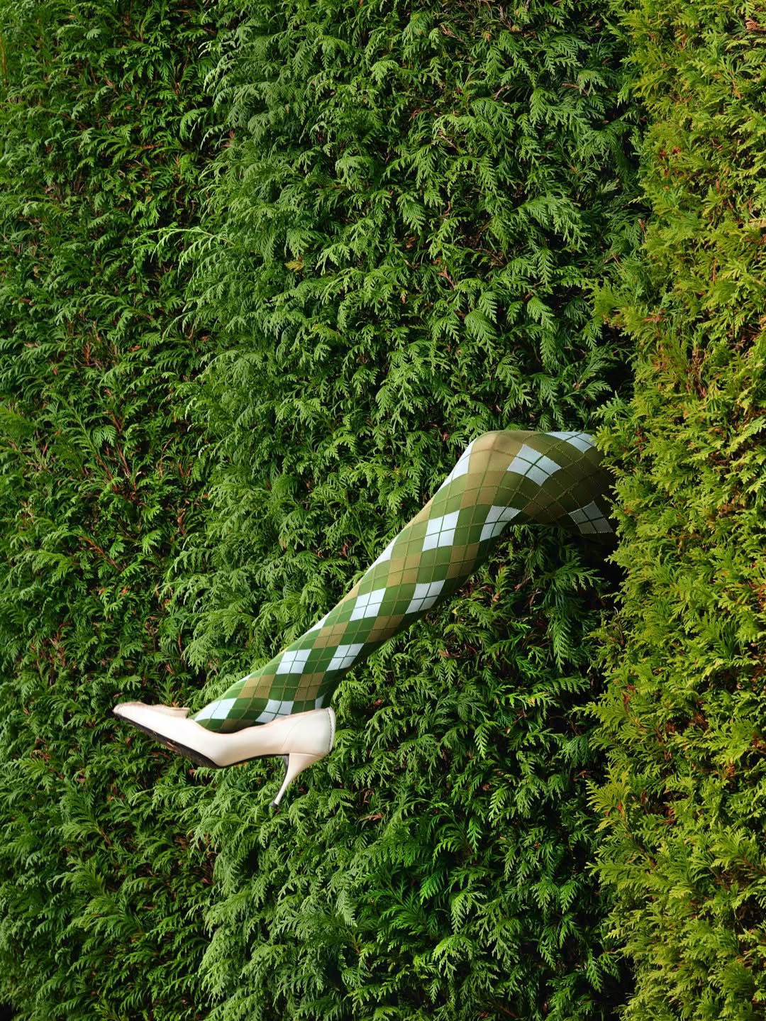 Anuschka Blommers & Niels Schumm X The Plant Dec. 25