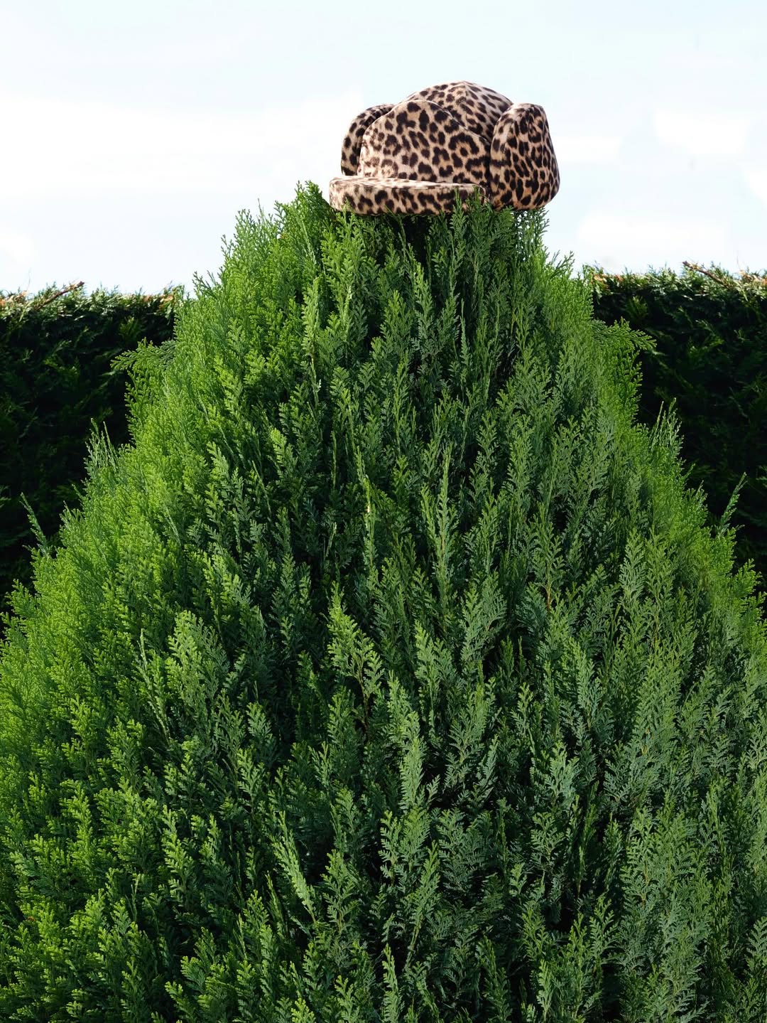 Anuschka Blommers & Niels Schumm X The Plant Dec. 25