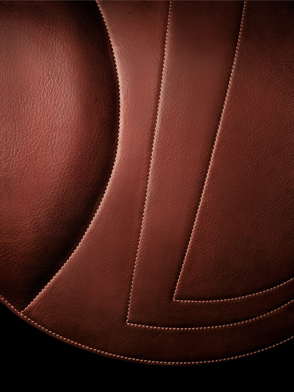 Guido Mocafico X Hermès