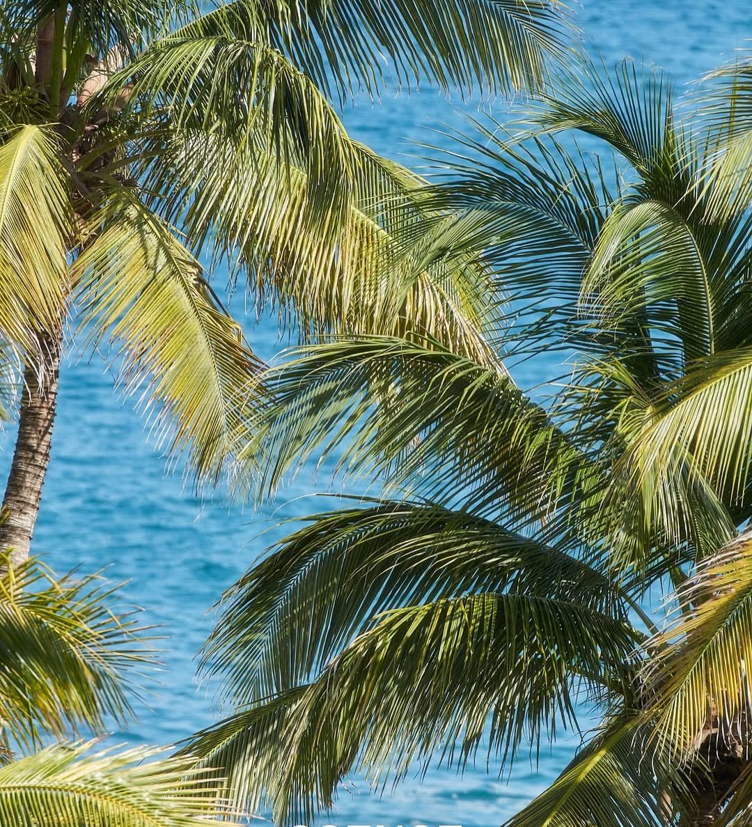 @ssense x @fourseasons

Photographer: @chrismaggio
Stylist: @stella_greenspan
Hair: @mattbenns
Makeup: @alliesmithmakeup
Post Production: @purple_martin_studio

Head of Creative & Content: @thomthomclub
Contributing Photography Direction: @_mq______
Senior Digital Media Editor: @rbbykelly

Production by @themorrisongroup