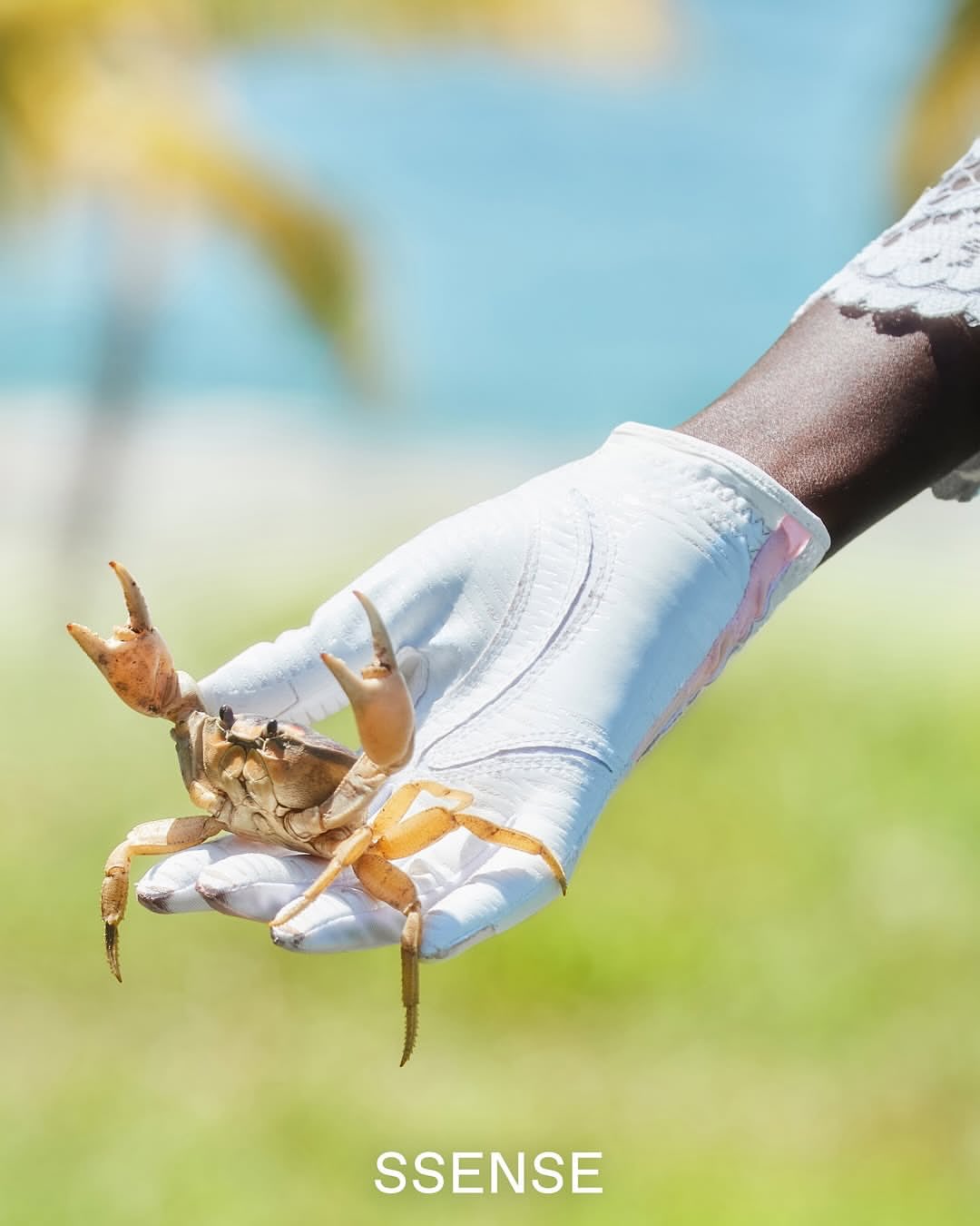 @ssense x @fourseasons

Photographer: @chrismaggio
Stylist: @stella_greenspan
Hair: @mattbenns
Makeup: @alliesmithmakeup
Post Production: @purple_martin_studio

Head of Creative & Content: @thomthomclub
Contributing Photography Direction: @_mq______
Senior Digital Media Editor: @rbbykelly

Production by @themorrisongroup