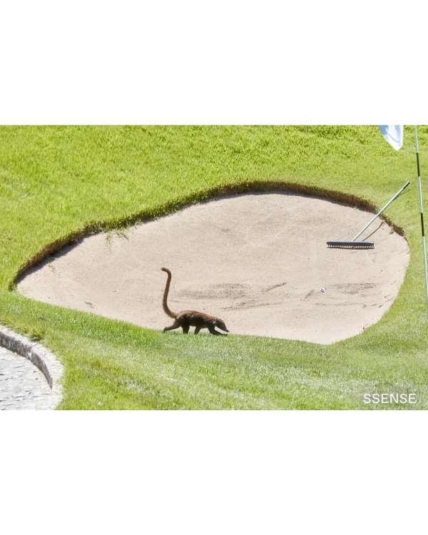 @ssense x @fourseasons