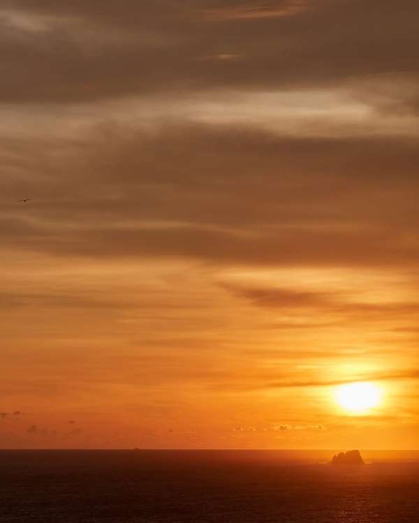 @ssense x @fourseasons