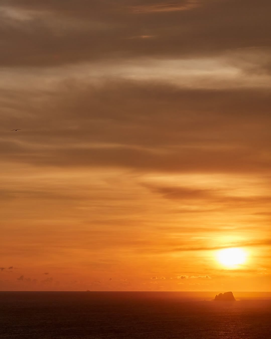 @ssense x @fourseasons

Photographer: @chrismaggio
Stylist: @stella_greenspan
Hair: @mattbenns
Makeup: @alliesmithmakeup
Post Production: @purple_martin_studio

Head of Creative & Content: @thomthomclub
Contributing Photography Direction: @_mq______
Senior Digital Media Editor: @rbbykelly

Production by @themorrisongroup