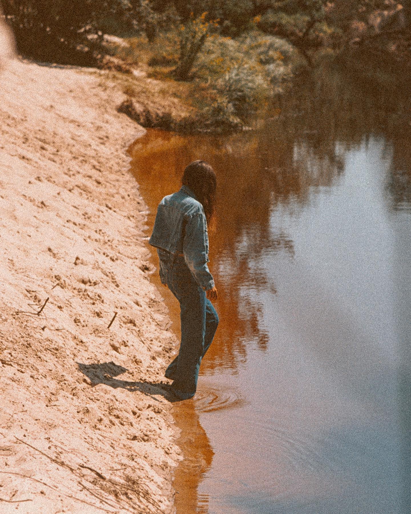 Theo Gosselin