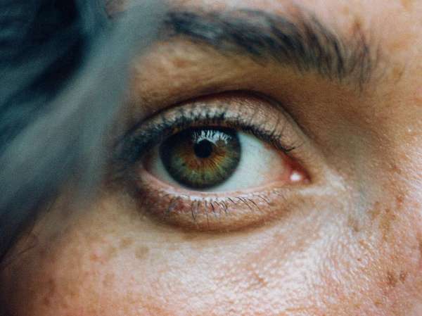 Theo Gosselin