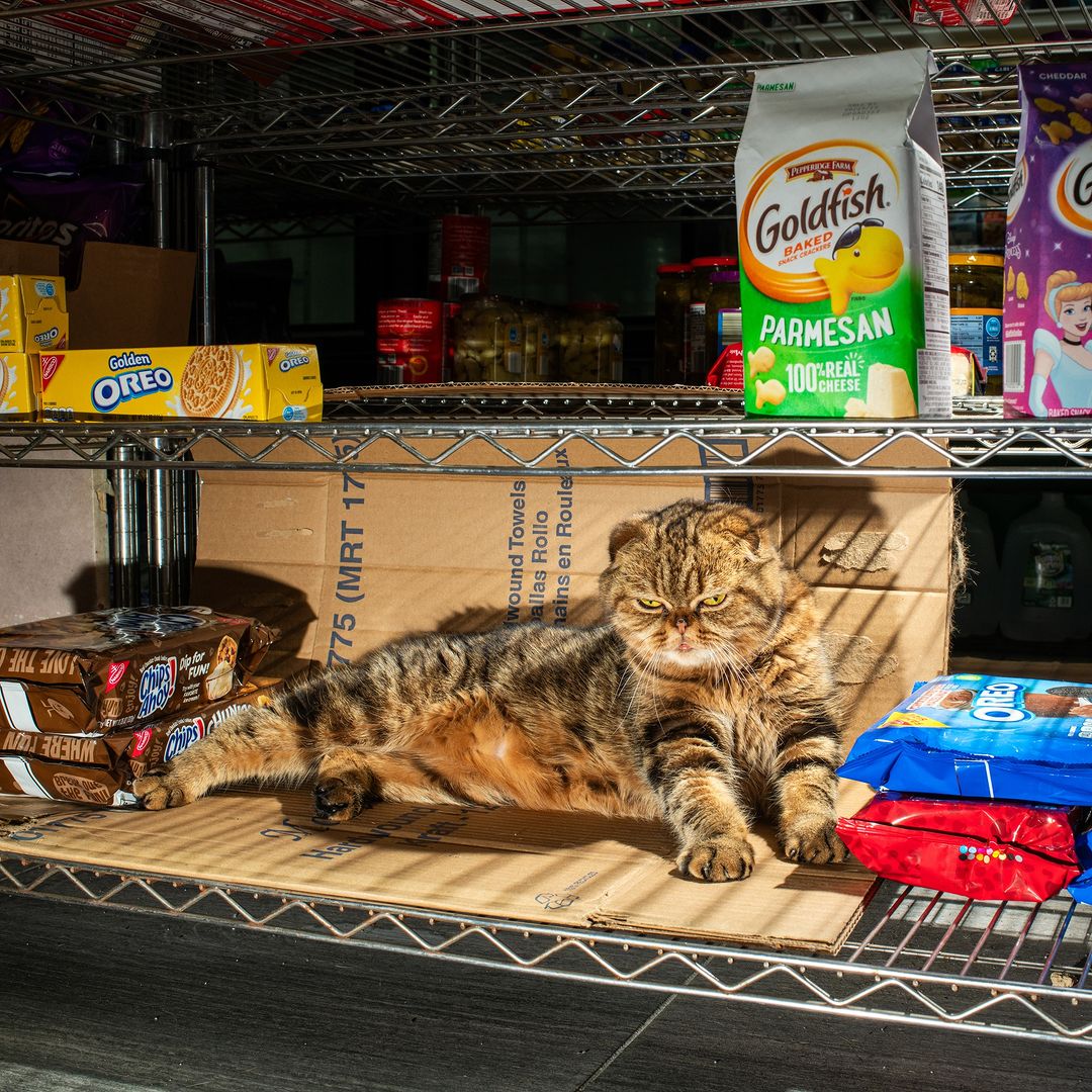 Ori Magazine |  Dec. 23