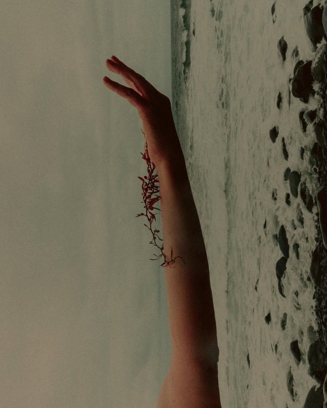 Sebastien Zanella