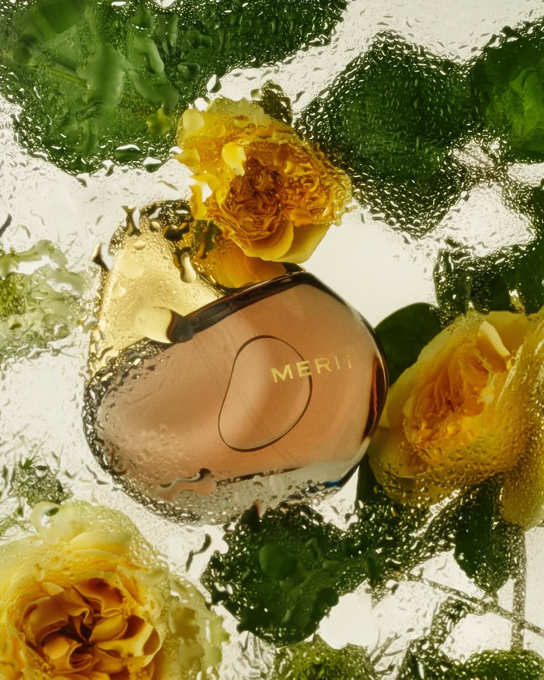 <a href="/yuhsing-lin">Yuhsing Lin</a> X MERIT <span style="text-transform: none; white-space: nowrap;">Dec. 25</span>