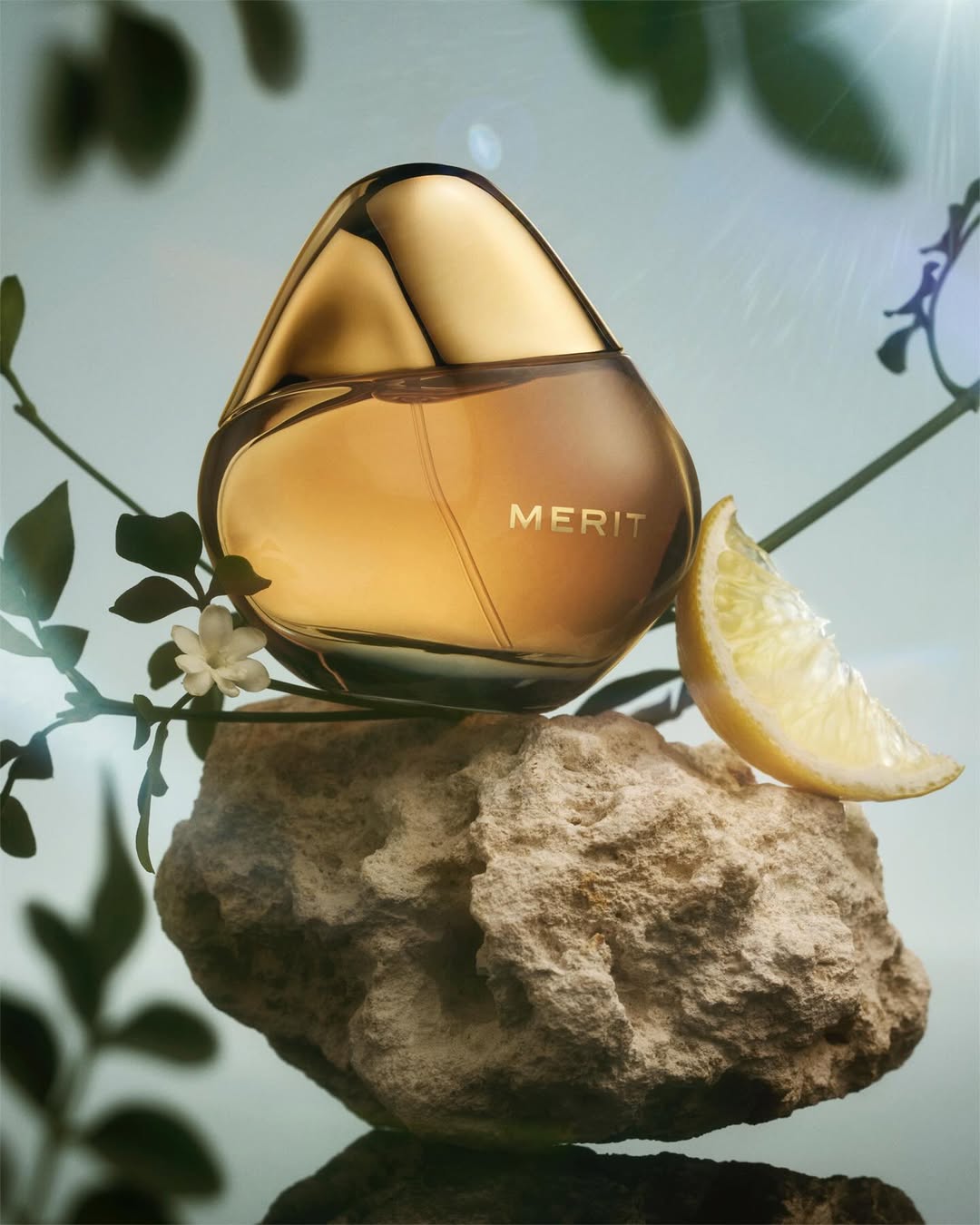 <a href="/yuhsing-lin">Yuhsing Lin</a> X MERIT <span style="text-transform: none; white-space: nowrap;">Dec. 25</span>