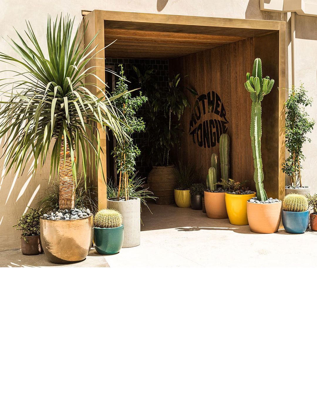 The Infatuation |  May. 23