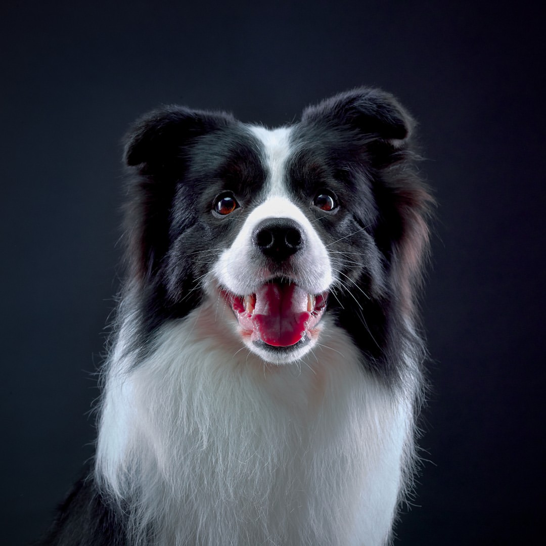 Brian Steege Nov. 25