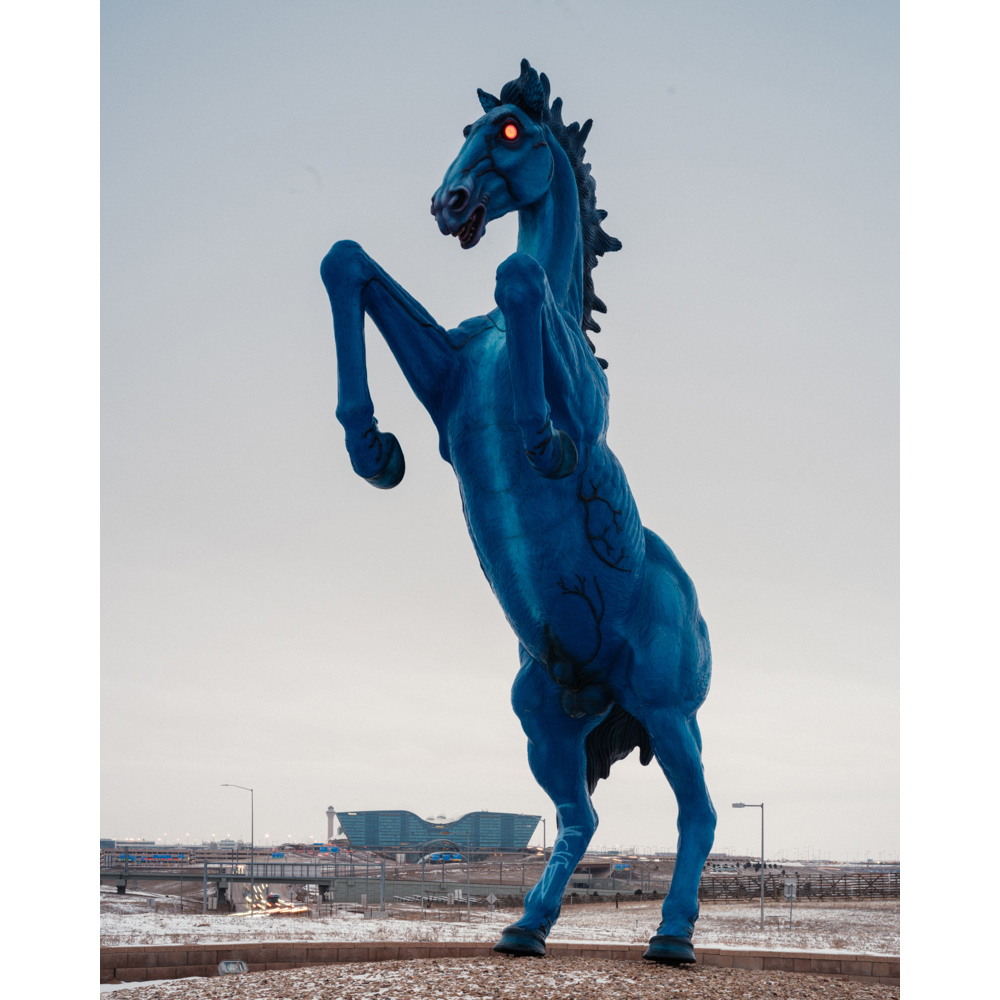 The New York Times |  May. 23