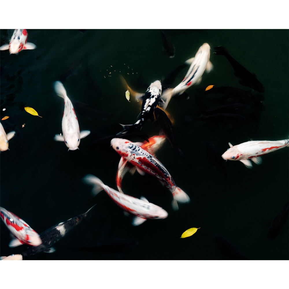 Road & Track Magazine |  May. 23