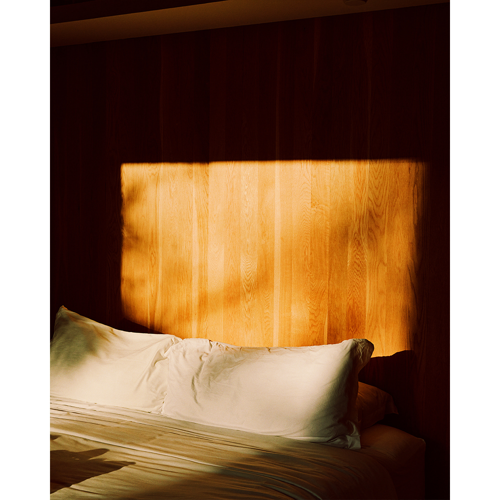 Piaule​​​​​​​​​ |  Aug. 23