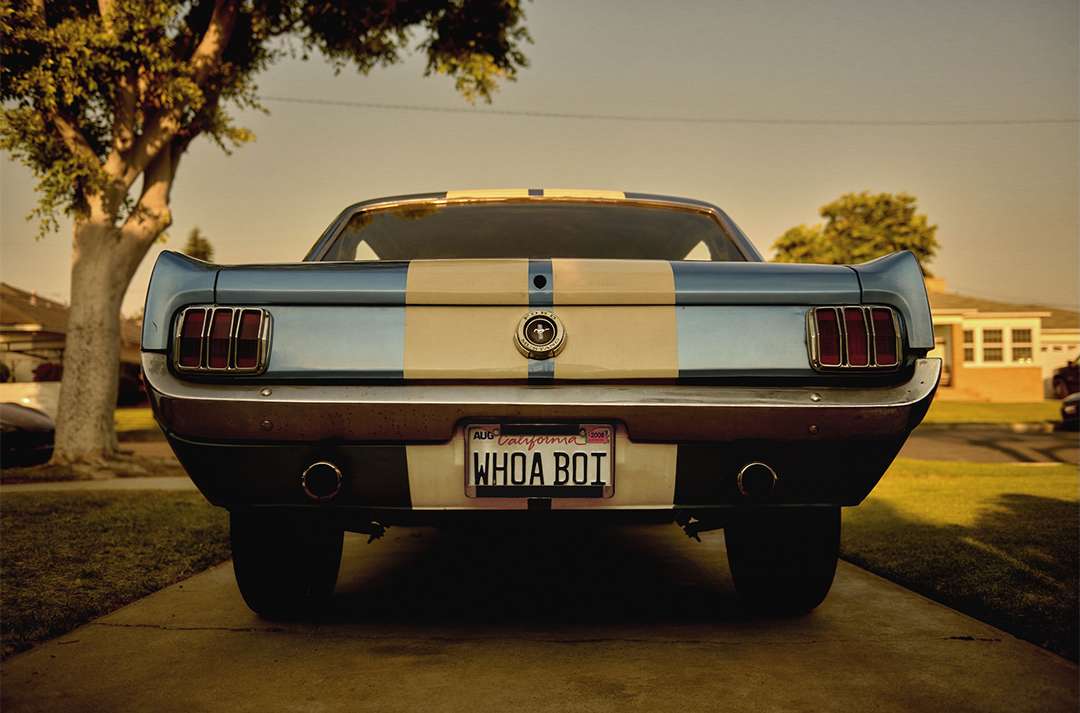 Nicholas Maggio X Ford Motor Company Oct. 25
