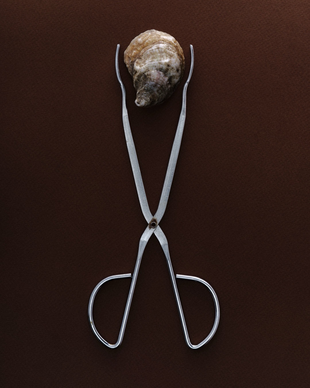 Michael Carbone X Locale